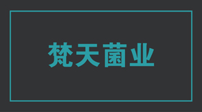 食品行业扬州工作服设计款式